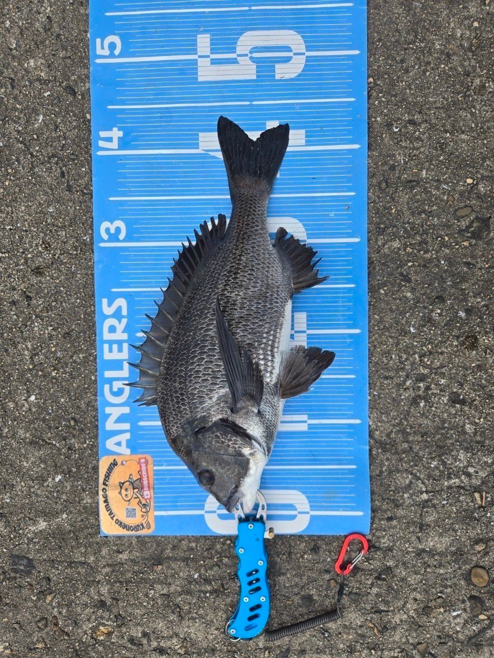DAIWA 23ラグザス 2500XH-LBDの最安値・インプレ・釣果 | 本音の口コミ
