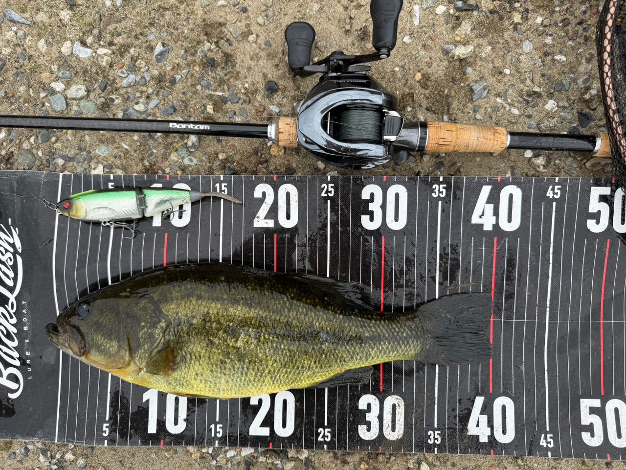 SHIMANO 19バンタム 163H-SB/2の最安値・インプレ・釣果 | 本音の