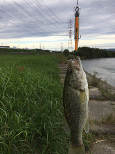 釣果