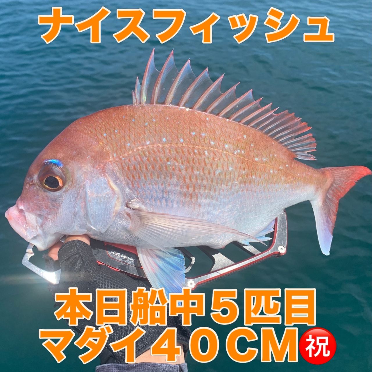 DAIWA 18紅牙 IC 100PL-RMの最安値・インプレ・釣果 | 本音の口コミが