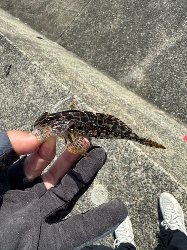 釣果