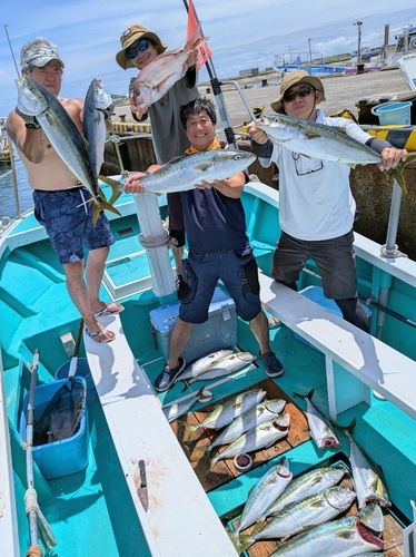 イナダの釣果