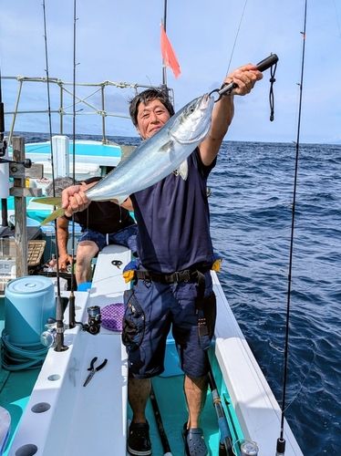 イナダの釣果