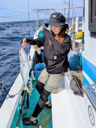イナダの釣果
