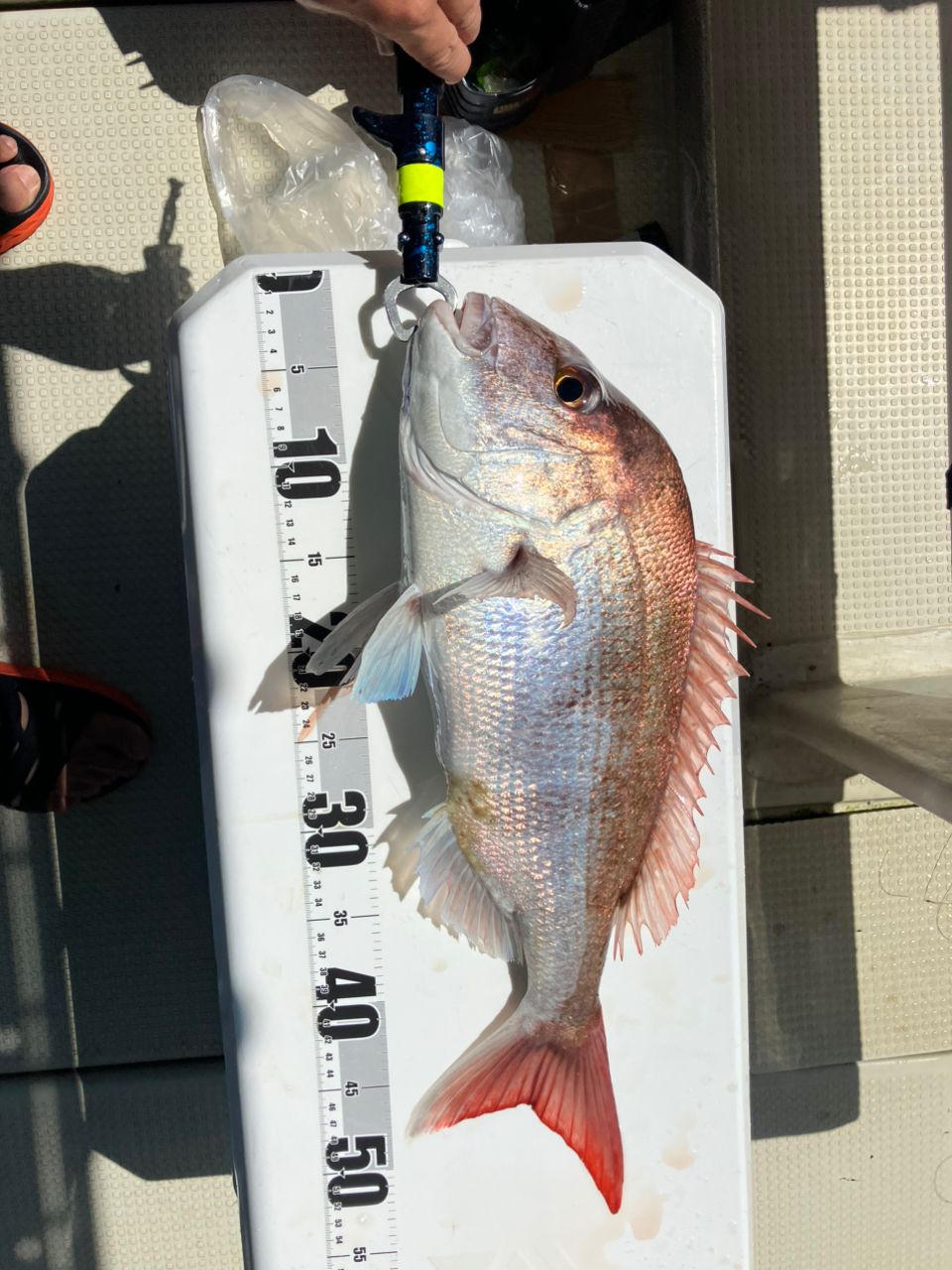 SHIMANO 21オシアジガー 1500XGの最安値・インプレ・釣果 | 本音の