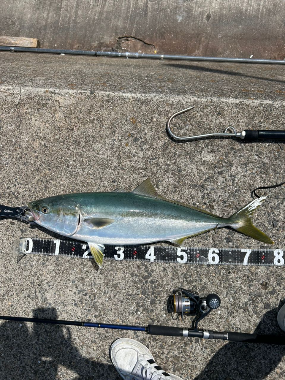 DAIWA 18ブラスト LT LT5000D-CXHの最安値・インプレ・釣果 | 本音の