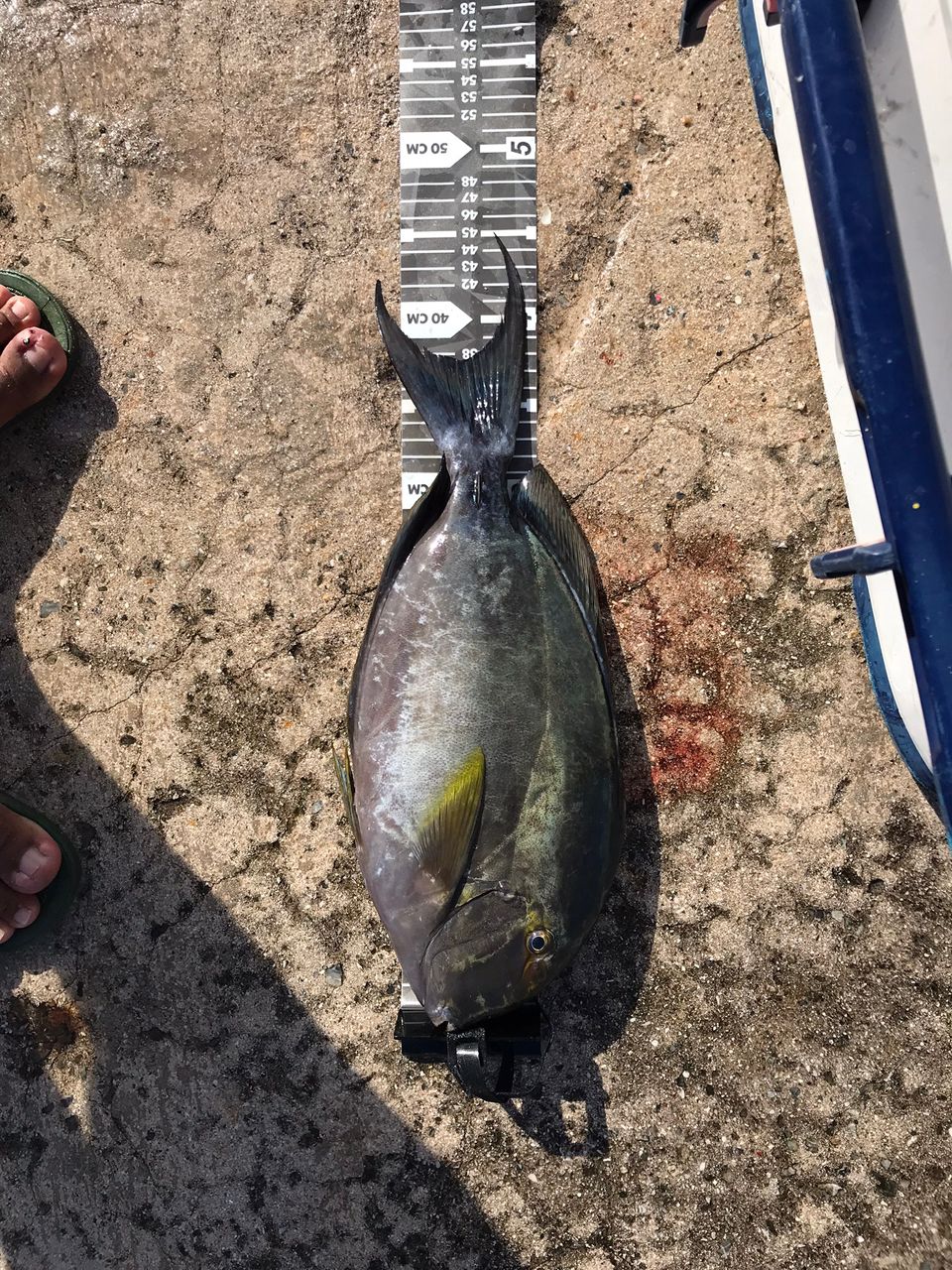 SHIMANO 21BB-X テクニウム C4000D TYPE-G S Rの最安値・インプレ