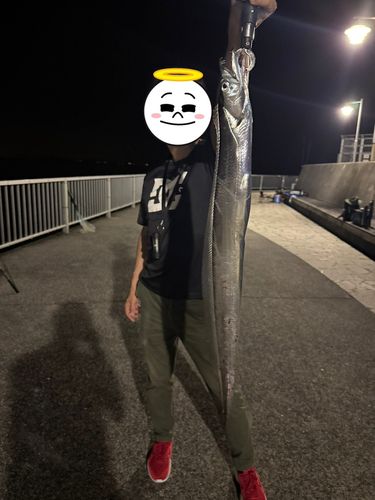 タチウオの釣果
