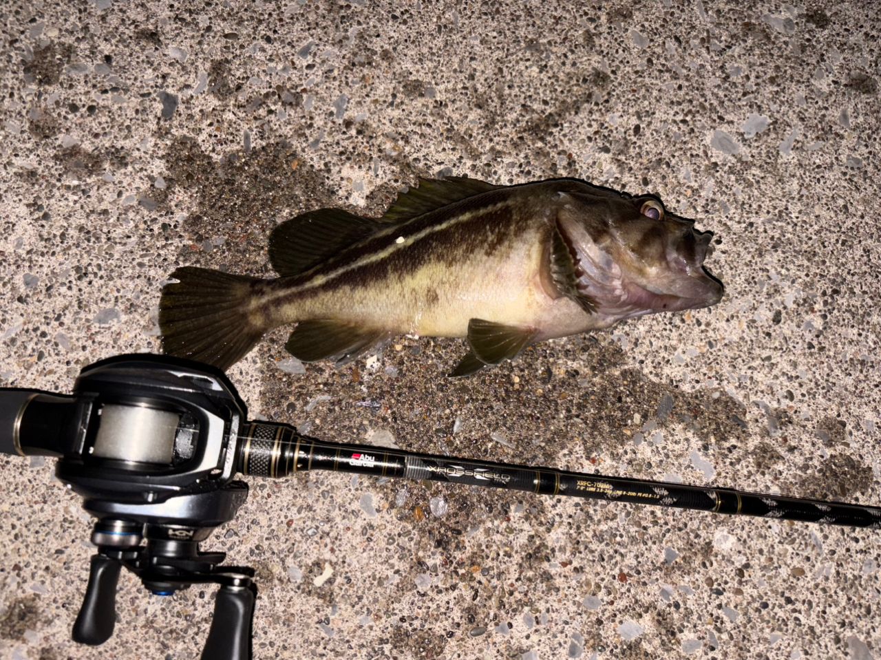 AbuGarcia クロスフィールド XRFC-702Mの最安値・インプレ・釣果