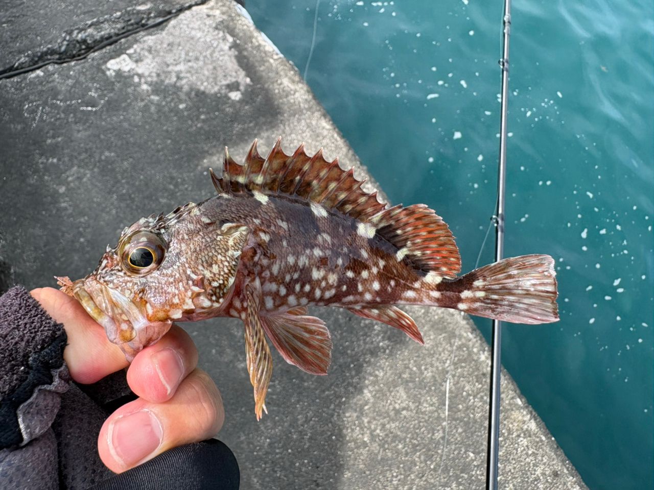 AbuGarcia ソルティーステージ プロトタイプ ベイトフィネス XLRC