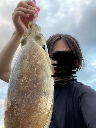 釣果