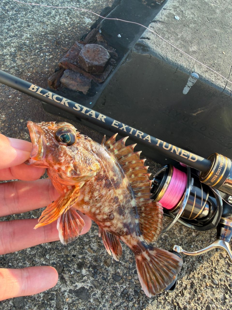 DAIWA 20ルビアス FC LT2500S-XHの最安値・インプレ・釣果 | 本音の