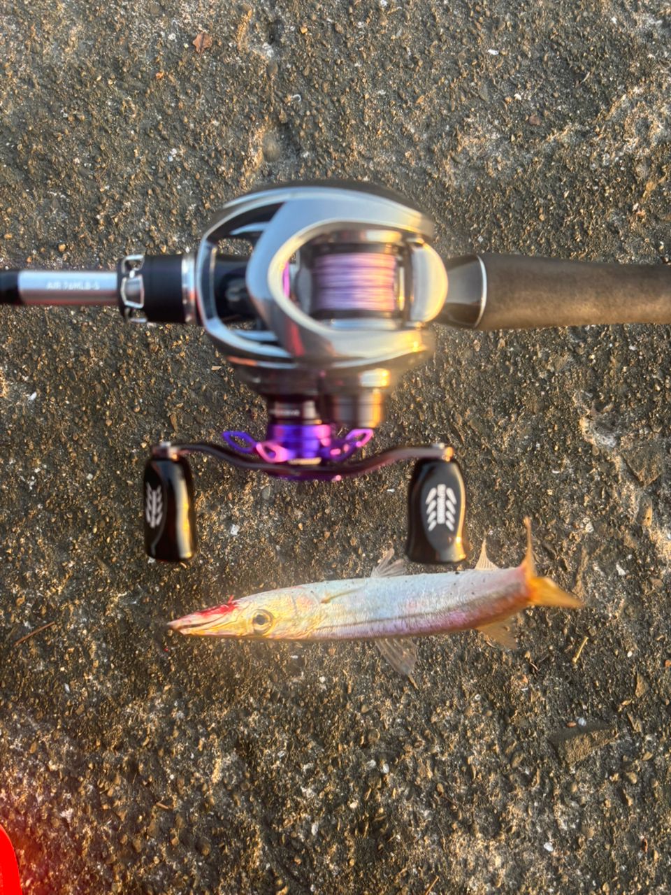 DAIWA 22シルバーウルフ AIR 76MLB-Sの最安値・インプレ・釣果 | 本音