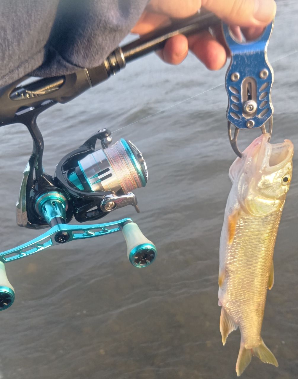 AbuGarcia ソルティスタイル マイクロショアジギングの最安値