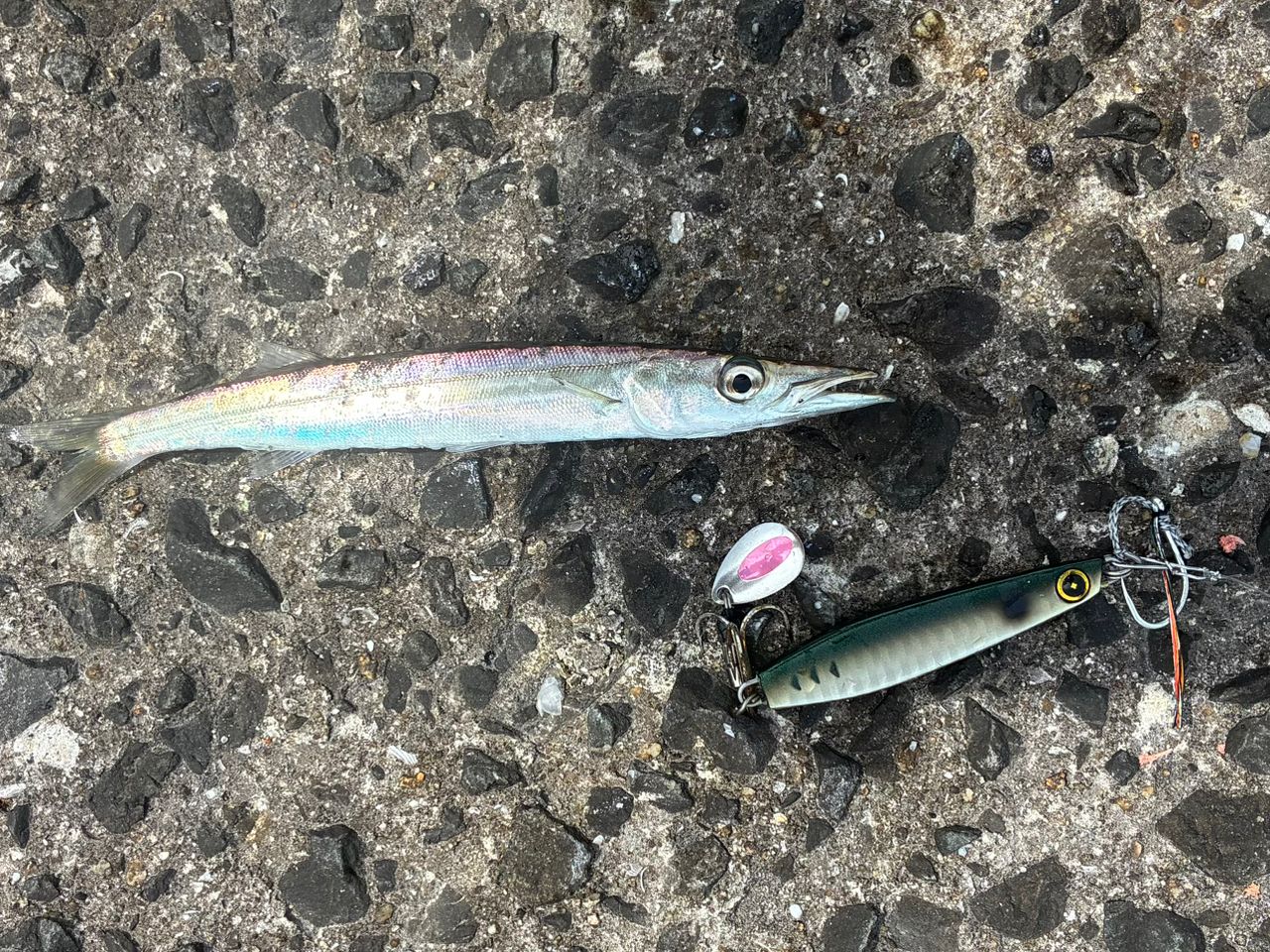 SHIMANO 19コルトスナイパー SS S100MHの最安値・インプレ・釣果
