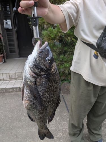 釣果