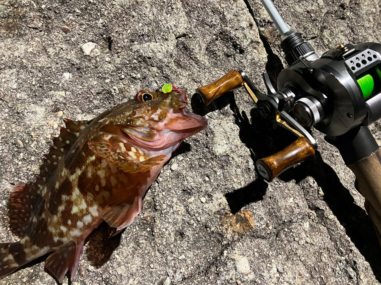 SHIMANO 23カルカッタコンクエスト BFS XG LEFTの最安値・インプレ