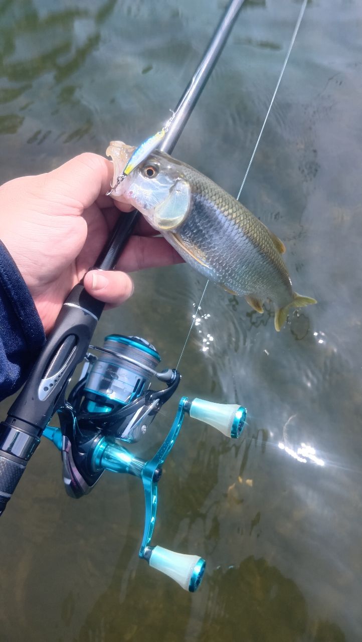 AbuGarcia ソルティスタイル マイクロショアジギングの最安値