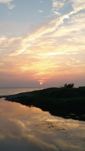 アユの釣果