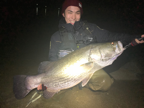 アカメの釣果