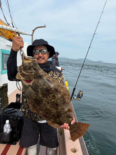 ヒラメの釣果
