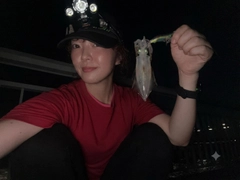 イカの釣果