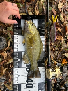 釣果