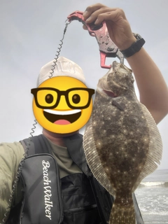 ソゲの釣果