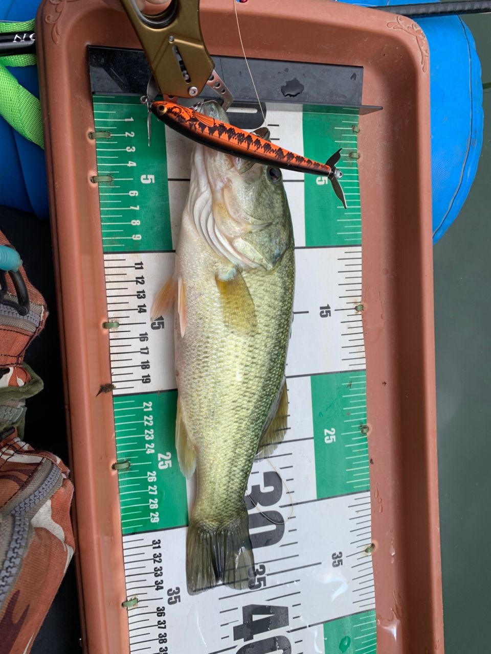 DAIWA 21ブレイゾン C611H-2・SBの最安値・インプレ・釣果 | 本音の