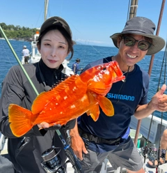 アカハタの釣果