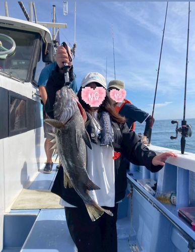 イシナギの釣果