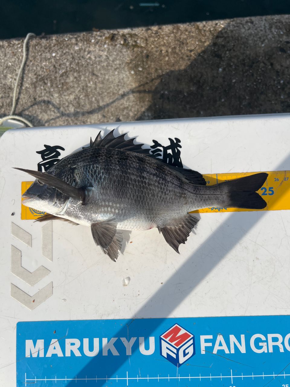 DAIWA 20銀狼王牙 AGS 1号-53・Rの最安値・インプレ・釣果 | 本音の
