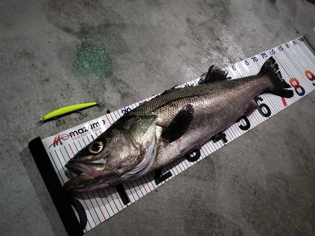 SHIMANO 19ストラディック 4000XGの最安値・インプレ・釣果 | 本音の