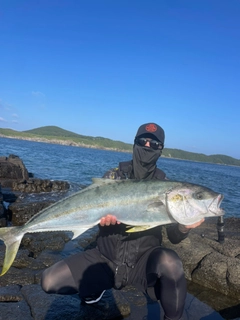 ヒラマサの釣果