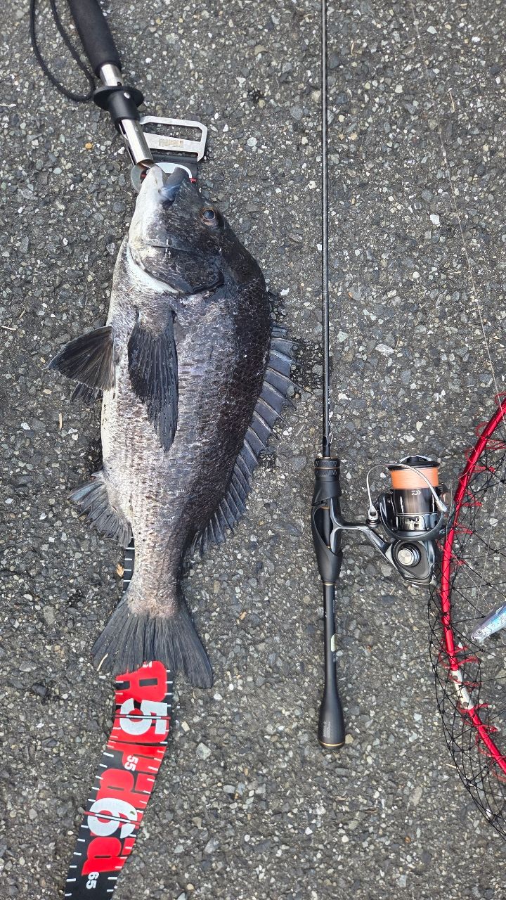 SHIMANO 21ソアレXR S60SUL-Sの最安値・インプレ・釣果 | 本音の口コミ