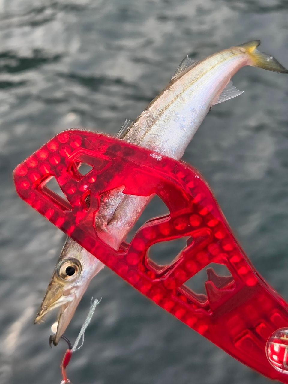 ソアレ としちん専用シマノ SoaRe Ci4+ S608UL-S AJING SHIMANO