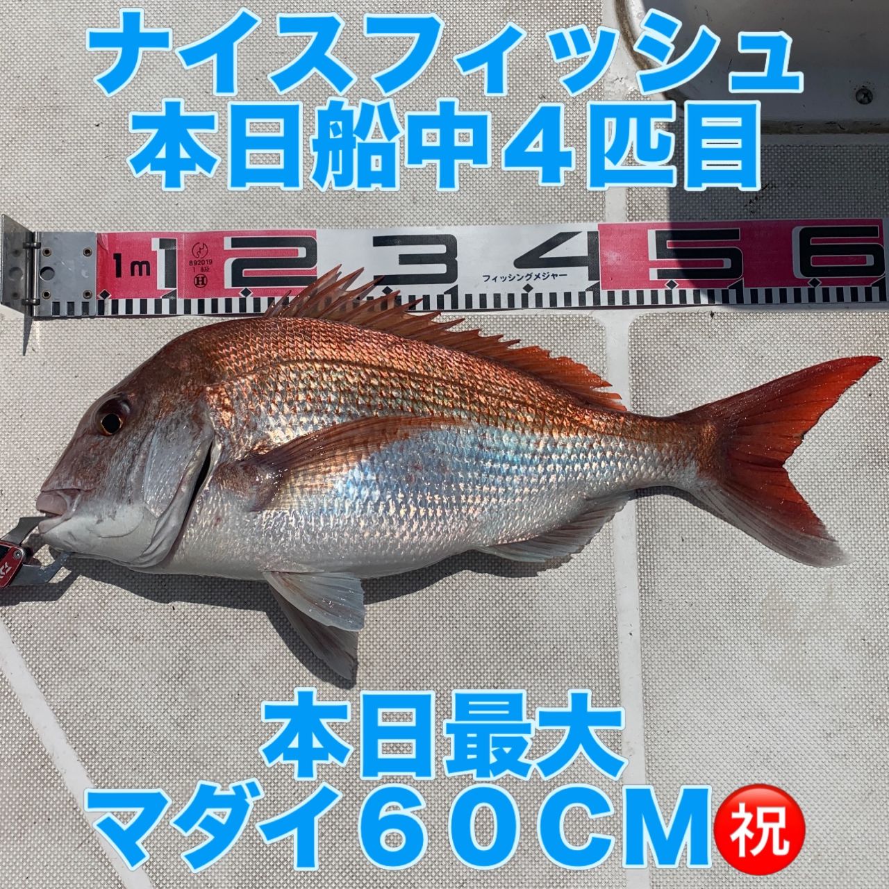 DAIWA 18紅牙 IC 100PL-RMの最安値・インプレ・釣果 | 本音の口コミが