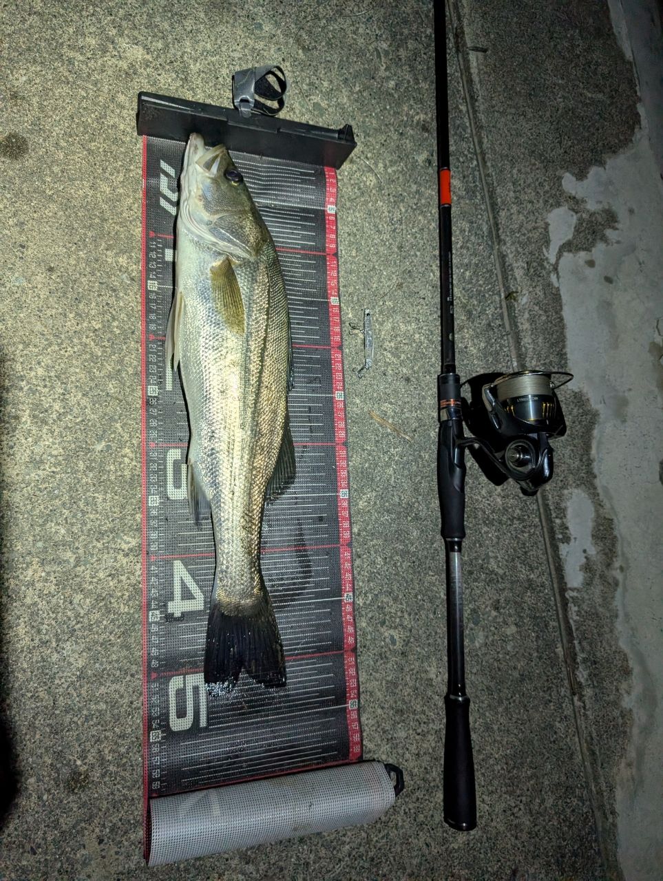 DAIWA 23エアリティ LT5000D-CXHの最安値・インプレ・釣果 | 本音の