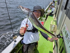 タチウオの釣果