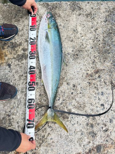 釣果