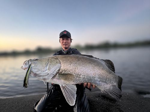 宮崎県の釣果・釣り場情報【2026年最新】 - アングラーズ | 釣果600万