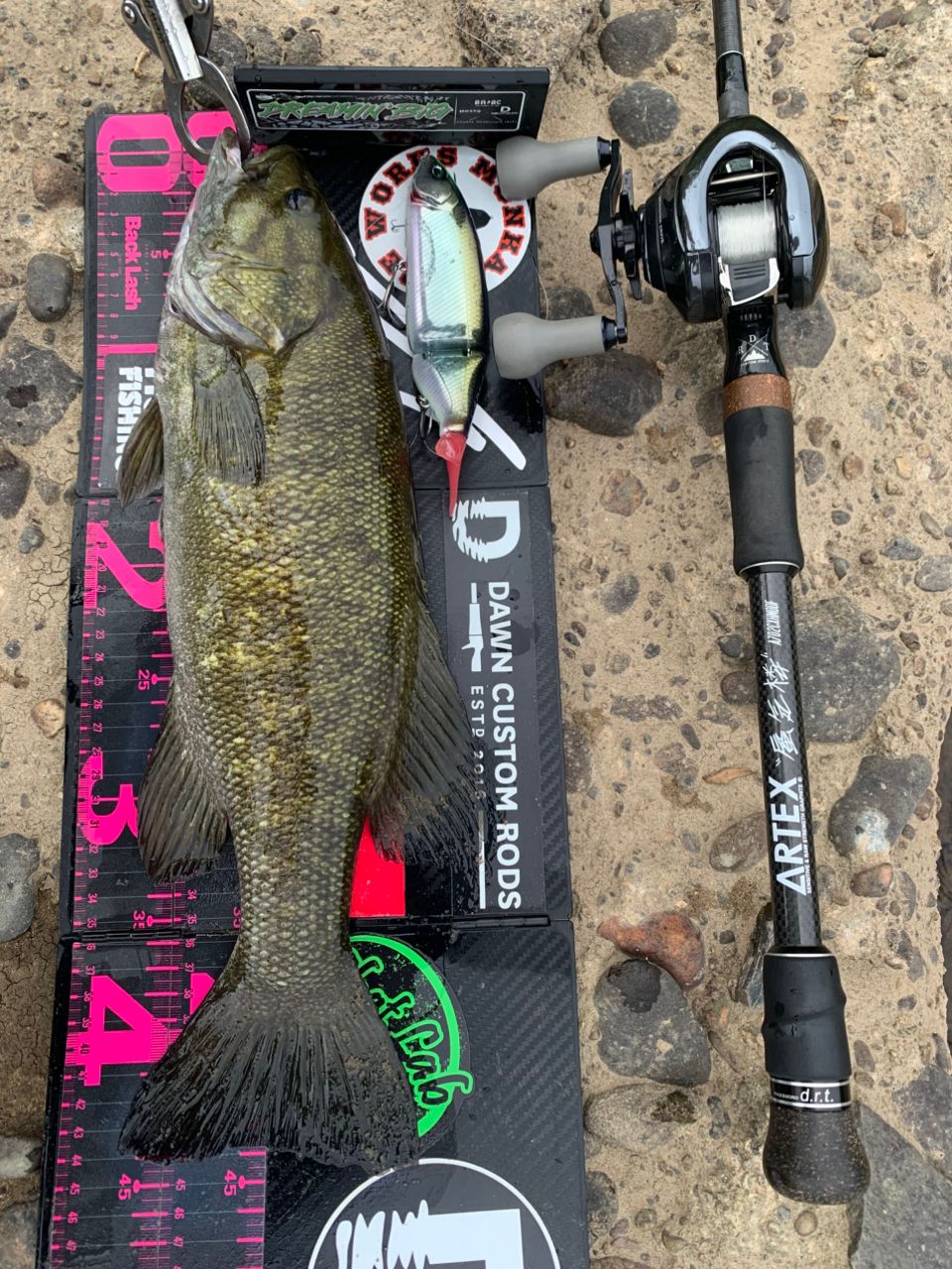 SHIMANO 18アンタレス DC MD XG LEFTの最安値・インプレ・釣果 | 本音