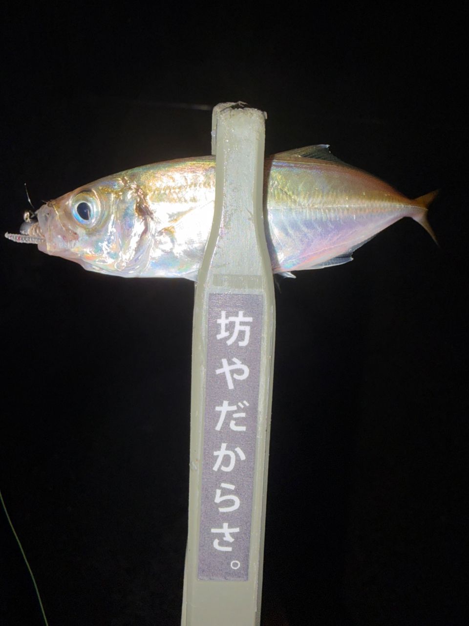 Gamakatsu ラグゼ 宵姫 華 弍 S54FL-solidの最安値・インプレ・釣果