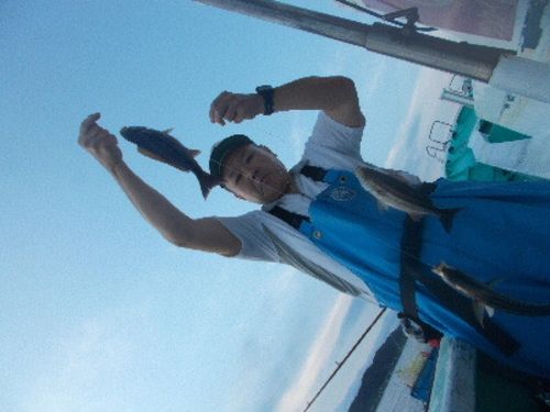イサキの釣果