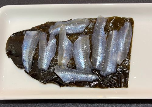 シロギスの釣果