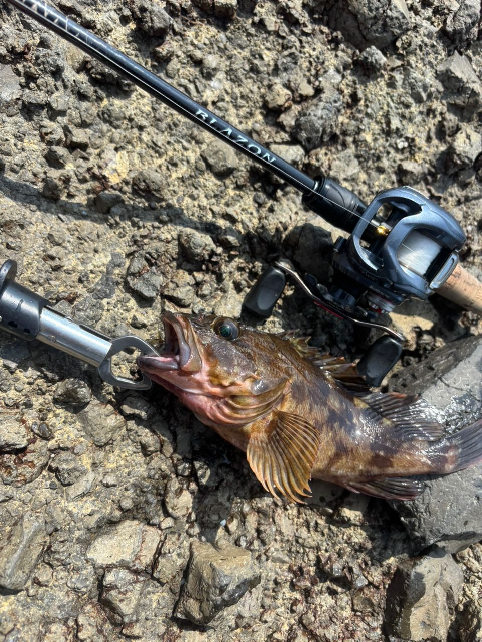 DAIWA 22ブレイゾン C66M-2・STの最安値・インプレ・釣果 | 本音の