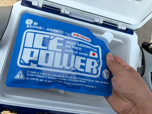 フグの釣果