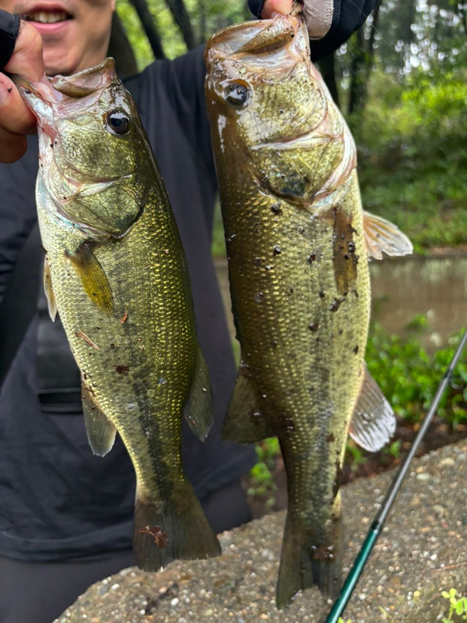AbuGarcia クロスフィールド XRFC-662ML-BFの最安値・インプレ・釣果