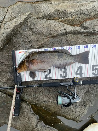 釣果
