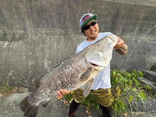 アカメの釣果